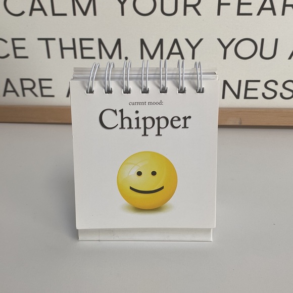 THE DAILY MOOD Desktop Flipchart - 47 Moods- Desk Accessories - Picture 4 of 8